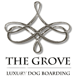 Homepage of The Grove Luxury Boarding Kennels in Staffordshire