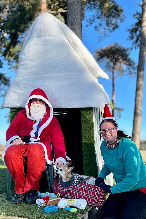 Chihuahua enjoying an outdoor Christmas Grotto with Father Christmas and Canine Carermember