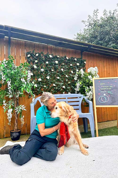 Lindsay cuddling a Golden Retriever