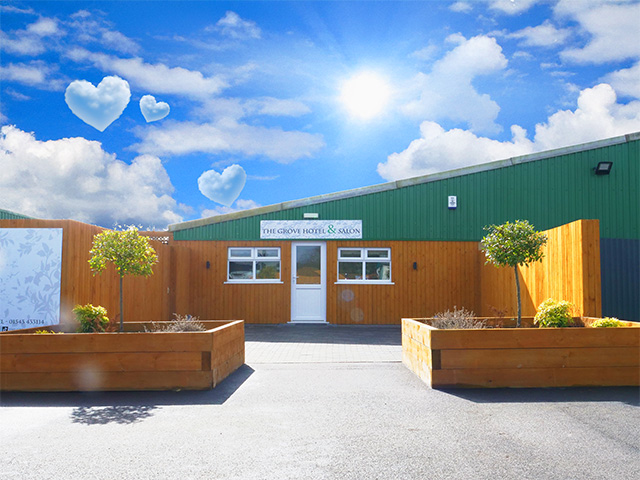 Outside the Reception entrance, with flowerbeds and a bright blue sky. An added whimsy, three of the clouds are heart-shaped!