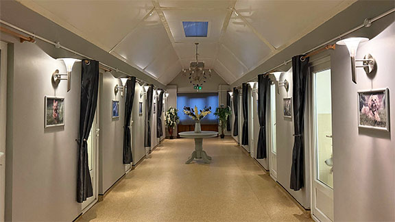 Grand Hallway, the kennels corridor