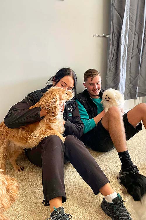 2 Canine Carers cuddling a dog each, a Golden Retriever and a fluffy white Pomeranian