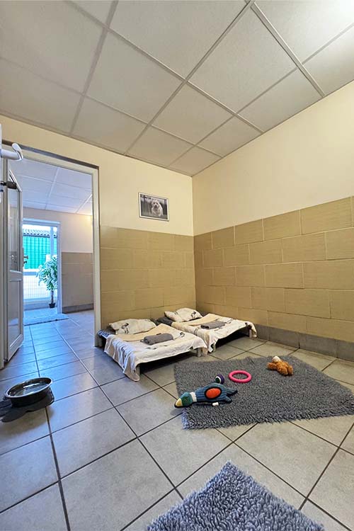 Kennel Suite with yellow half-tiled walls, a picture of a previous happy guyest, looking through from the internal Great Hallway to the Bedroom, Ensuite Exercise area and out to the outer corridor that leads to the gardens and grounds. There are 2 grey soft rugs on floor with toys, a water bowl and most importantly, 2 raised beds made up with pillows, a rolled towl and made to looking like a miniature made-up hotel bed