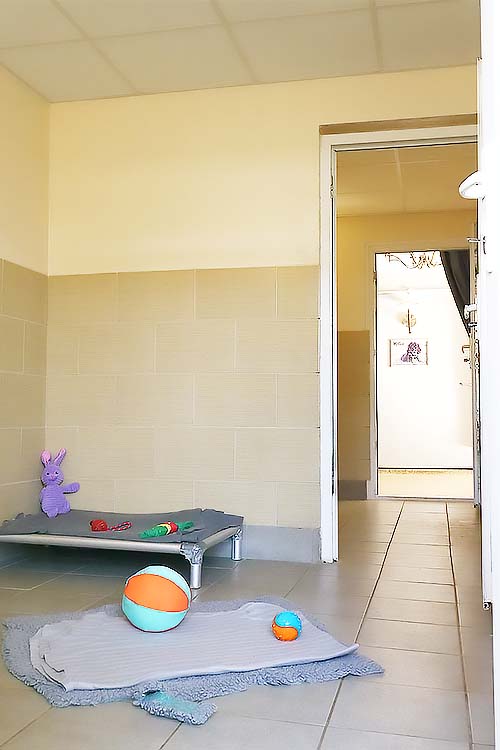 The outer Ensuite also has a raised bed and toys and looks back through the Suite from the outer corridor