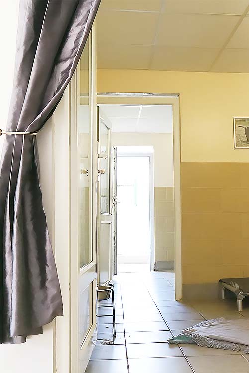 Looking through the Suite from the Hallway curtain. The walls are partly tiled in a soft, cheerful yellow